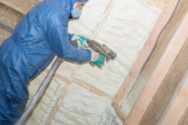 Types of Insulation We Offer in Port St John, FL